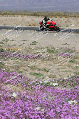 media/Feb-04-2023-SoCal Trackdays (Sat) [[8a776bf2c3]]/Turn 15 Inside Blooming (1050am)/